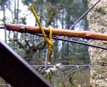 Detalle del nudo sencillo sobre alambre