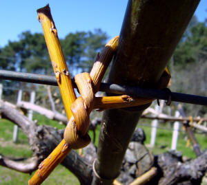 Detalle del nudo sobre alambre con vuelta de refuerzo