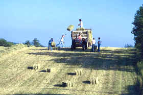 Recolección de cereales