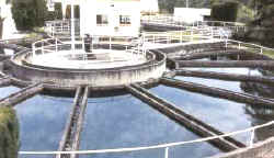 fangos extraídos de las instalaciones depuradoras 