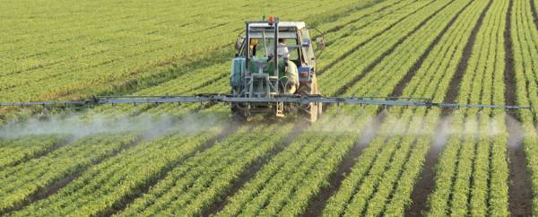 Cuando se aplica un plaguicida sobre un cultivo, con el tiempo se degrada, pero pueden quedar residuos de esos productos al ser absorbidos por las plantas o el suelo