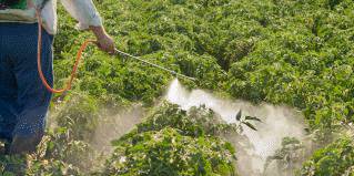 El plazo de seguridad es el tiempo que debe transcurrir entre la aplicación del producto fitosanitario y la recolección del fruto, y debe ser respetado siempre