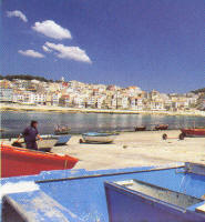 Panorámica del puerto de A Guarda con las barcas de pesca de bajura