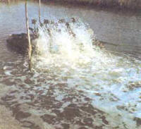 aireador_flotante.jpg (14460 bytes)