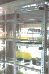 camara_fitoplanc3.jpg (18945 bytes)