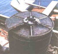 cultivo_ostras_caja5.jpg (12582 bytes)