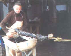 encordado_mejillon.jpg (8172 bytes)