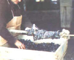 encordado_mejillon2.jpg (8661 bytes)