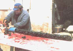 encordado_mejillon3.jpg (9602 bytes)