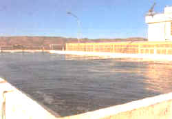 estanque_exterior.jpg (8089 bytes)