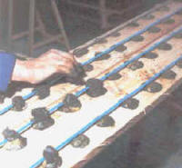 fases_cementado3.jpg (13156 bytes)