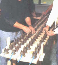 fases_cementado4.jpg (14305 bytes)