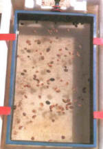 laborat_humedo3.jpg (17494 bytes)