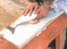 masaje_dorada2.jpg (7842 bytes)