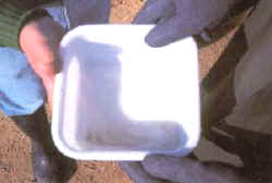 mezcla_huevos_esperma.jpg (7497 bytes)