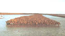 parque_ostiones2.jpg (6563 bytes)