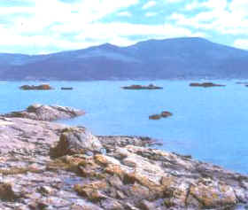 ria_viveros.jpg (12211 bytes)