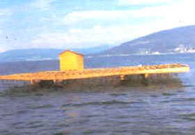 vivero_flot_ostras.jpg (8488 bytes)