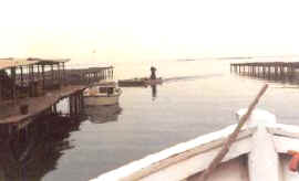 viveros_fijos_mediterr3.jpg (6347 bytes)