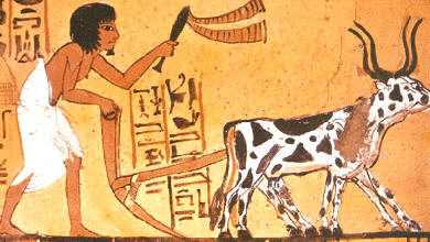 En esta reproducción encontrada en la tumba de Senn Nedjem se puede observar el sistema de arado egipcio