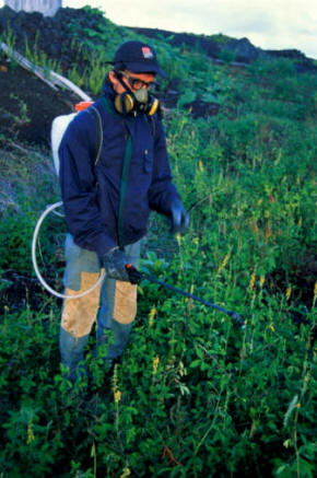 El sector de los insecticidas ha causado gran alarma en el pasado por sus efectos medioambientales, y en la capacidad de eliminar los insectos de forma indiscriminada, como las abejas