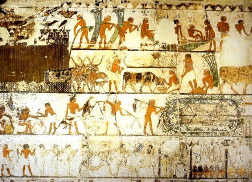 Relieve de la tumba de Nefer Sakkara donde se escenifican una serie de labores agrícolas, con aperos muy rudimentarios