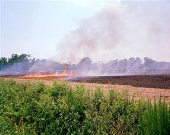 Práctica de talar e incendiar los bosques para convertirlos en tierras de labor