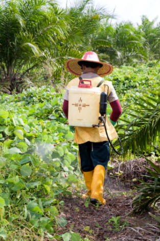 Los herbicidas agrícolas suelen presentarse en forma líquida, con objeto de que puedan ser pulverizados mediante una máquina de sulfatar