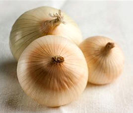 Cebolla (Allium cepa)