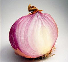 Allium cepa, en su variedad de cebolla roja