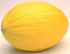 Variedad de melón de invierno (Cucumis melo inodorus)