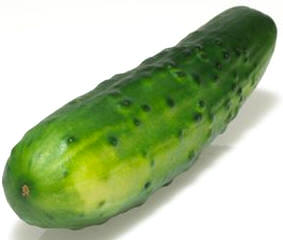 Fruto maduro de Cucumis sativus