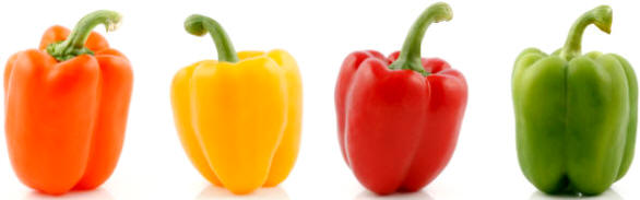 Algunas variedades de colores de la especie Capsicum annuum