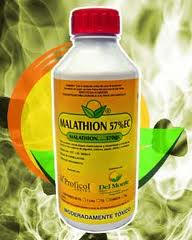 Insecticida Malathion