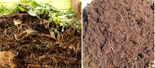 Técnicamente el mantillo (compuesto por materias vegetales diversas), una vez fermentado, es humus