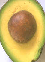 La semilla es el embrión maduro de la planta