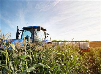 En los suelos agrícolas no se produce la sucesión vegetal al interrumpir la actividad humana el desarrollo natural de la vegetación