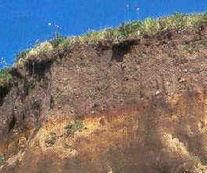 El perfil del suelo es el conjunto de capas o estratos denominados horizontes en que se divide su estructura vertical