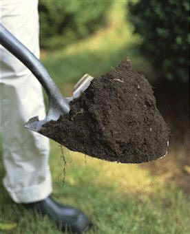 Como norma general, salvo excepciones, los suelos oscuros son más fértiles que los claros