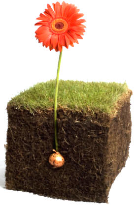 Es fundamental conocer las necesidades particulares de cada planta, para así acondicionar la textura del suelo en cuanto a su capacidad de retención o impermeabilización del agua