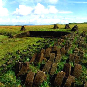 Turbera donde se pueden observar los bloques de turba extraídos para su comercialización