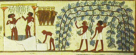 Escena de la vendimia en el Egipto de la XVIII dinastía. Pintura de la tumba de Najt. Tebas