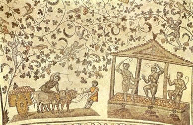 Mosaico de la iglesia de Santa Constanza (Roma), donde se puede observar una escena de la vendimia