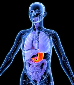 La nutrición abarca un conjunto de procesos metabólicos a través de varios aparatos del organismo