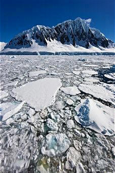 Placa de hielo marino y hielo marino partiendo en la primavera
