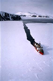 Placa de hielo marino y hielo marino partiendo en la primavera