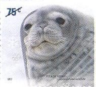 Foca de Weddell [Leptonychotes weddellii]