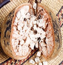 Fruto del Baobab