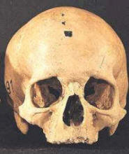 Homo sapiens sapiens (humano actual)