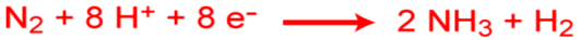 Fórmula de la fijación del nitrogeno